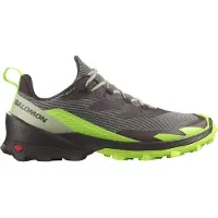 Salomon Herren Multifunktionsschuhe SHOES CROSS OVER 2 GTX Desert/Grgeck/Cho