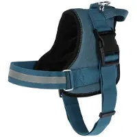 Kerbl Maestro 2.0 Gurtzeug Grün,Blau 30 mm x 72-103 cm Grün,Blau 30 mm x 72-103 cm