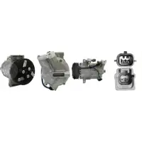 Casco CAC71024AS VCS14 Klimaanlage Klimakompressor R134a für RENAULT Clio IV Schrägheck (BH) Captur (J5, H5) Clio IV Grandtour (KH)