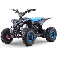 Beneo Elektro ATV - Quad für Kinder Motors T-REX Blau - 1300W