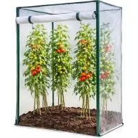 Mojawo Tomatengewächshaus Frühbeet Foliengewächshaus 100x50x150cm