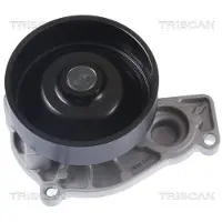 TRISCAN Wasserpumpe 8600 11049