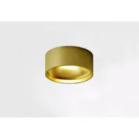 Artdelight Deckenlampe im Badezimmer Oran Ø 12cm – Gebürstetes Gold