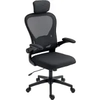 Dopwii Bürostuhl Ergonomischer Schreibtischstuhl mit Hochklappbaren Armlehnen, Verstellbarer Lendenwirbelstütze Schwarz