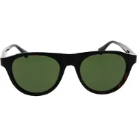 Web WE0377 Dark havana 51/19/150 Herren Sonnenbrillen