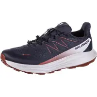 Salomon SHOES ALPHARIDE 2 GTX Asphal/Arabia/Rain 000 000 46.5