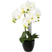 Creativ Green künstliche Pflanze Phalenopsis x 4 im Resintopf, 55 cm, weiß
