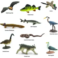Safari Ltd Figur Der Großen Seen Mehrfarbig From 3 Years Kinder Mehrfarbig From 3 Years