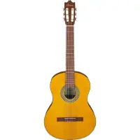 Ibanez GA3-OAM Guitar