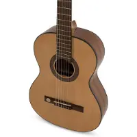 Vgs Pro Arte GC 100 A 7/8 Natural