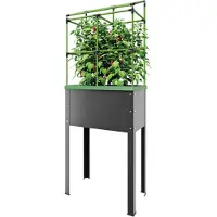 Biogreen Hochbeet "Heidelberg" aus Metall auf Stelzen mit Rankgitter - 43 L Kübelvolumen - 9 L Wasserspeicher