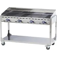 Hendi Grillsystem 4 br. Green Fire Radfahrgestell Profi Line