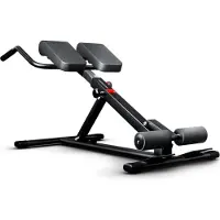Sportstech BRT150