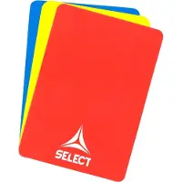 Select Schiedsrichterkarten Handball v24