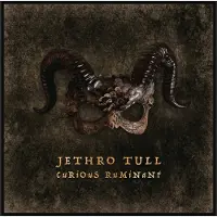 Jethro Tull Curious Ruminant von Jethro Tull / / CD
