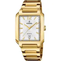 Festina Herren Uhr Fashion Edelstahl Armbanduhr gold UF20678/2