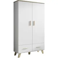 Furniture24 Kleiderschrank Lotta, 2 Türiger Wohnzimmerschrank, Schrank, Skandinavisch, Briliant Weiß, Drehtürenschrank