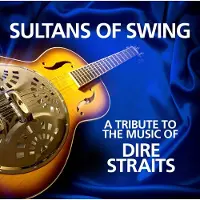 Bertus Distributie A Tribute To Dire Straits