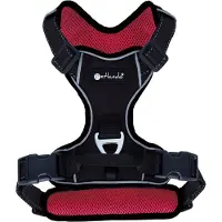Petlando Hundeleine Mesh, 3 m, Anthrazit