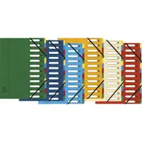 Exacompta 5312E 6x Ordnungsmappe HARMONIKA mit ausgestanzten Fenstern und Gummizug , aus Colorspan-Karton, mit 12 Fächern, A4 -Farben sortiert