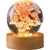 Slyrun Nachtlicht in Blumenform mit Kristallkugel, 2,4 Zoll großes 3D-Nachtlicht aus Glaskugel mit Holzsockel (Rotes Gänseblümchen)
