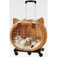 Markenlos Haustier-Kinderwagen aus Rattan, mit Rädern, atmungsaktiver Wagen mit Teleskopgriff zum Tragen von Kätzchen, Welpen, Hasen, täglichen Spaziergängen, Einkaufen, Reisen, Camping