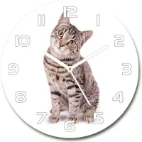 Tulup Wanduhr aus Glas 30fi Glasbild Glasuhr Gehärtetes Glas - weisse-zeiger - Cat