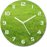 Tulup Wanduhr aus Glas 30fi Glasbild Glasuhr Gehärtetes Glas - weisse-zeiger - green grass