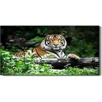 Coloray Wandbild Leinwand Bilder Wanduhr 60x30 Gemälde Wald Bäume Tier Katze Tiger - schwarze Hände
