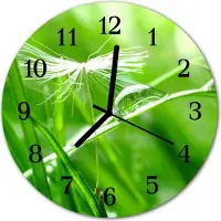 Tulup Glasuhr Wanduhr Küchenuhr Echt-Glas 30fi cm Gras grün