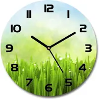 Tulup Wanduhr aus Glas 30fi Glasbild Glasuhr Gehärtetes Glas - schwarze-zeiger - Grass