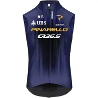 Q36.5 Gregarius Pro Cycling Team 2026 Weste