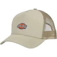Dickies Hanston Trucker-kappe