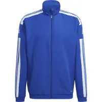 Adidas Sq21 Pre Jkt Royblu/White L