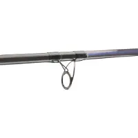 Daiwa Steckrute Powermesh Catfish Spin Länge 2,45m Wurfgewicht -190g