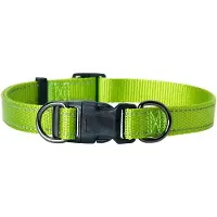 Dogman Nylon collar Iris adjustable