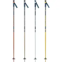 Rossignol Stove Stöcke 20 Paare