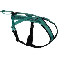 Non-Stop Dogwear Geschirr Rush Harness teal, Größe: 7