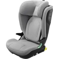 Thule Palm Kindersitz, Mid Grey