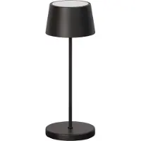 FH Lighting Außenlampe Asena Pro Outdoor Schwarz