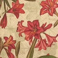 Home Fashion , Natural Amaryllis, Lunch-Servietten aufgefaltetes Maß 33 cm x 33 cm, im Viertelfalz, 20 Stück pro Pack, 12 Pack pro Karton