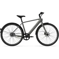 Tenways Elektrofahrrad CGO600 Pro | Größe L (540 mm)