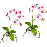 Creativ Green Kunstpflanze "Orchidee Phalaenopsis" im Keramiktopf