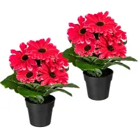 Otto Home Kunstpflanze "Elaine" im Topf, 2er Set