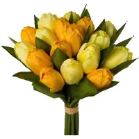 Otto Home Kunsttulpe "Tulpenbund"