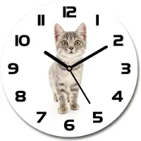 Tulup Wanduhr aus Glas 30fi Glasbild Glasuhr Gehärtetes Glas - schwarze-zeiger - Gray cat