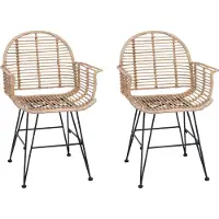 vidaXL Esszimmerstuhl 2 Stk. Rattan und Eisen Natur 57 x 55 x 85 cm