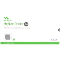 Mepilex Border Ag Schaumverb.10x20 cm steril 5 St Verband