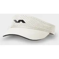 Varlion Coorporate Visier
