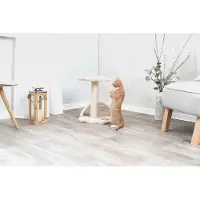 Markenlos Kratzbaum Vitoria 43 cm in beige/natur – kleiner Katzenbaum für junge & kleine Katzen mit gemütlicher Liegefläche, komfortabel & stabil – 43751